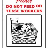 Do Not Feed or Tease Workers office sign