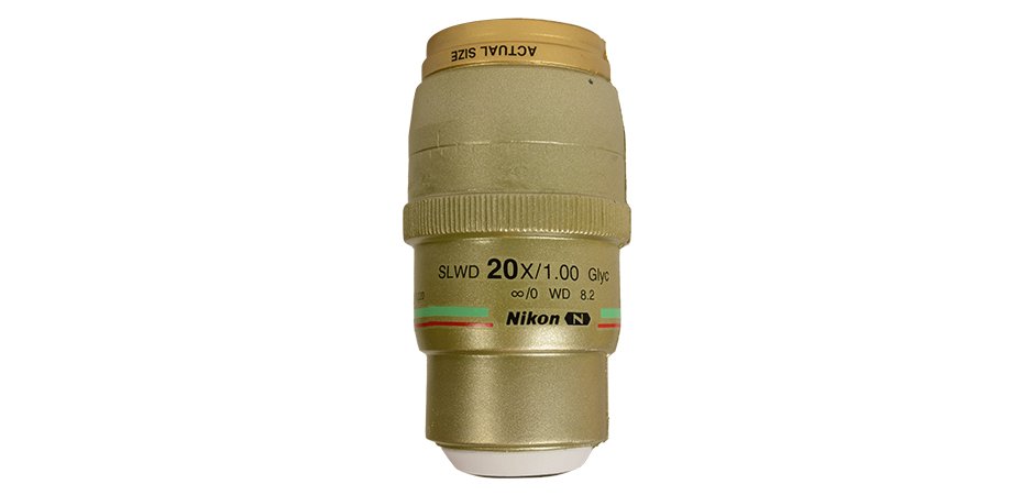Nikon Microscope Lens Squishy