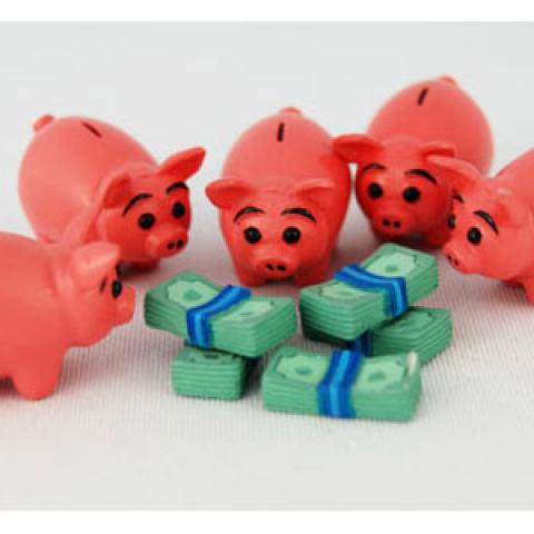 Pigs eating money